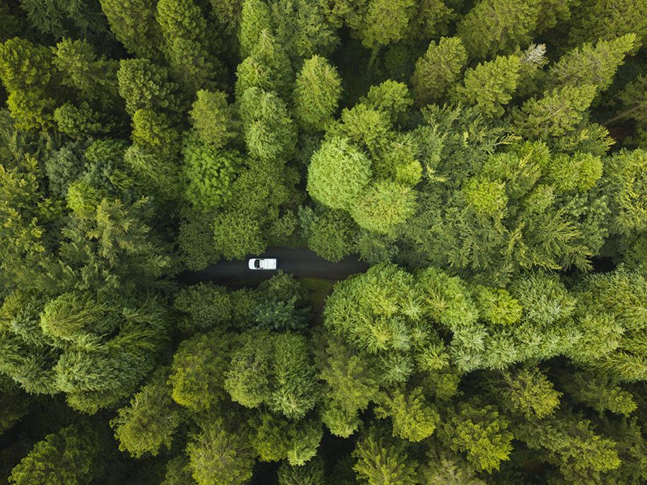 なぜアイルランドか：中東部地域